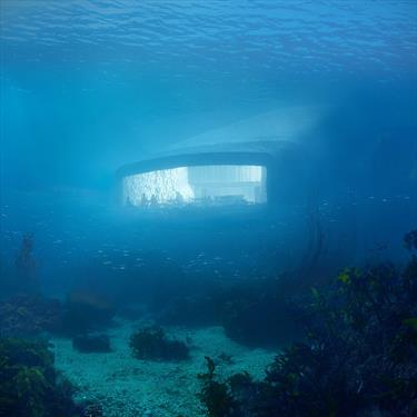 Самый большой в мире подводный ресторан