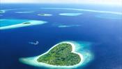 Выгодно брать Мальдивы у «ТО Метеорс Трэвел»