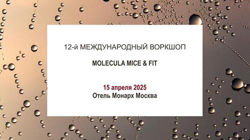 MOLECULA MICE & FIT свое лицо и индивидуальный стиль