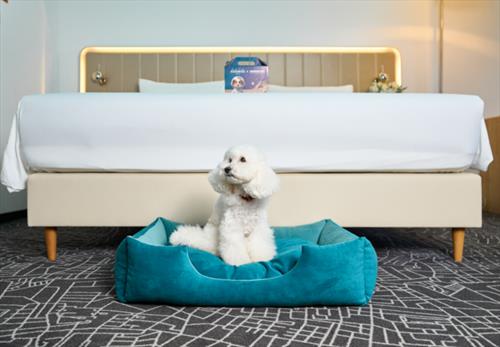 Cosmos запускает специальную акцию для гостей с питомцами