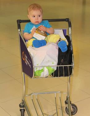 «Шереметьево» предлагает высадить детей из багажных тележек
