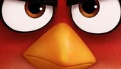 Управление гневом – Angry Birds style