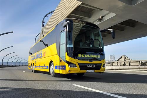 Ecolines возобновляет регулярные пассажирские перевозки