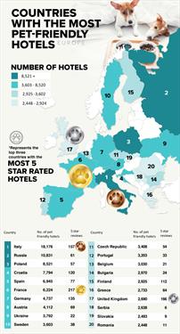 Россия на втором месте по благосклонности хотельеров домашним животным
