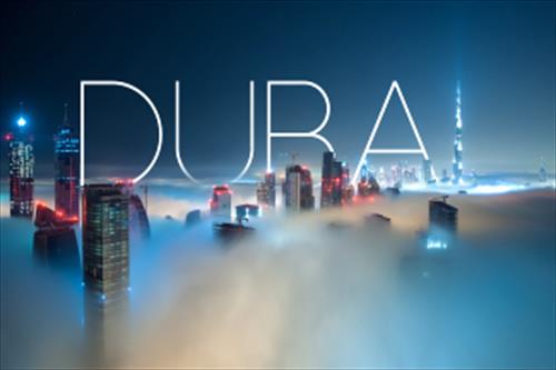 В Дубае могут ввести новую электронную визу