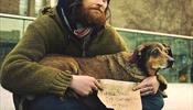 Бездомный «Добролет»