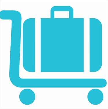 «Пулково»: Порядок получения багажа из Египта в аэропорту