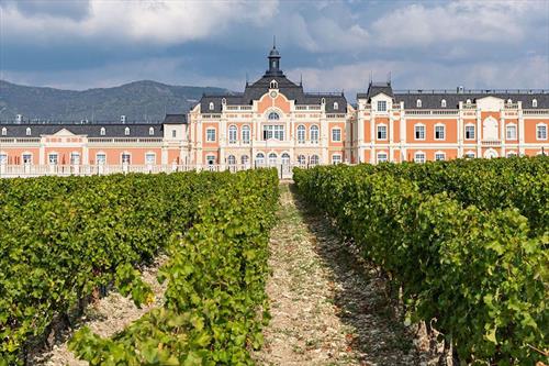 В винодельне Château de Talu планируют свой бутик-отель