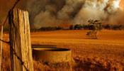 Австралия платит жестокую цену за отрицание проблемы климата своими политиками