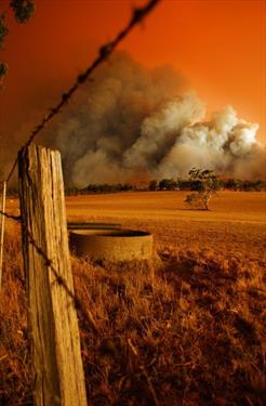 Австралия платит жестокую цену за отрицание проблемы климата своими политиками