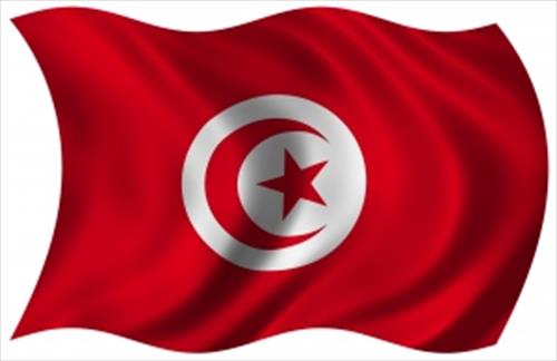 Тунис дождался зимы и отменил визы для россиян