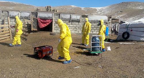 В Монголии чума, россияне не могут вернуться домой