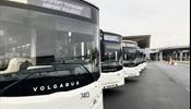 В «Пулково» пошли новые автобусы